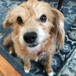 Meet your Posher, Jodi